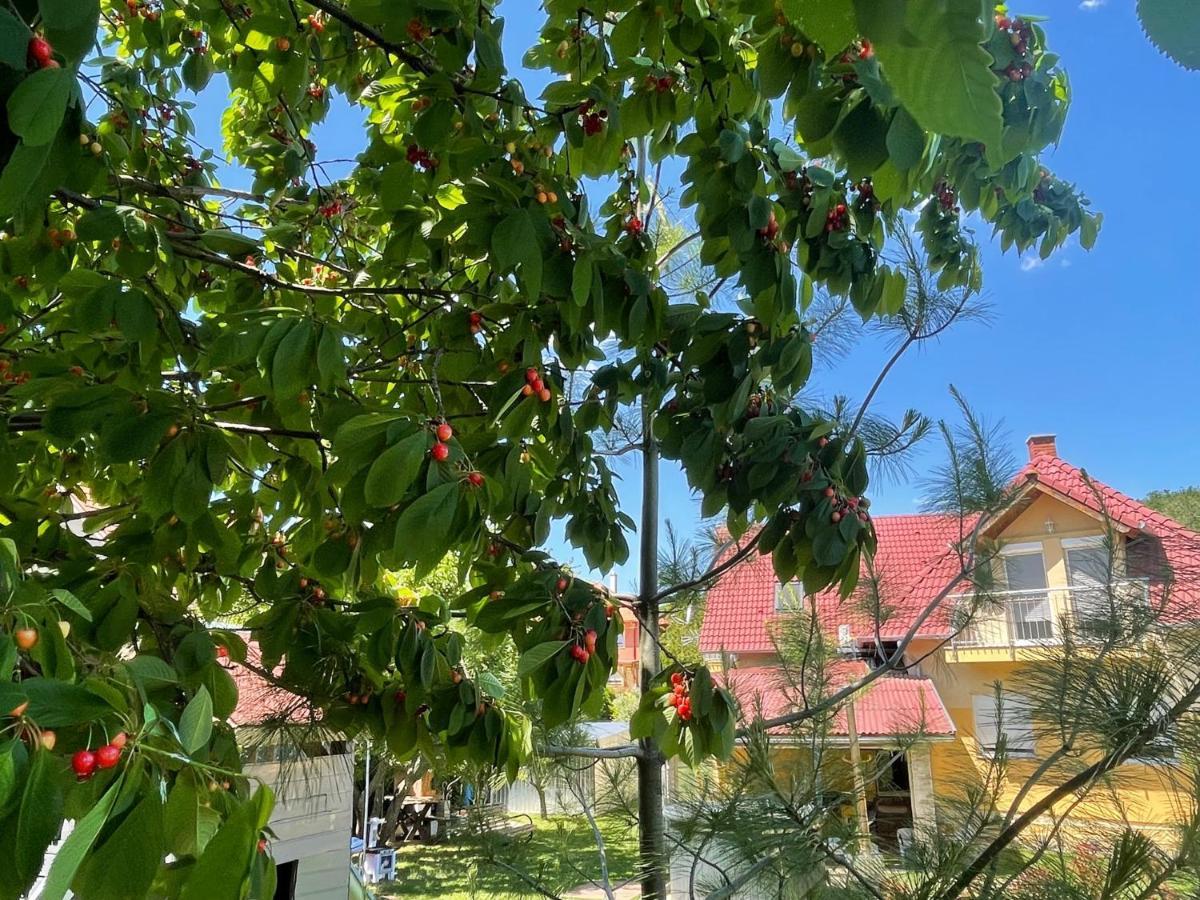 Jasmin Apartment House Vonyarcvashegy Εξωτερικό φωτογραφία